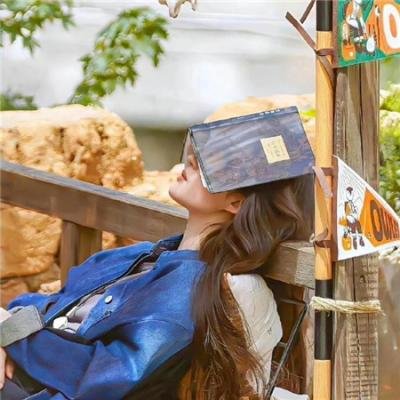 如果猫从世界上消失